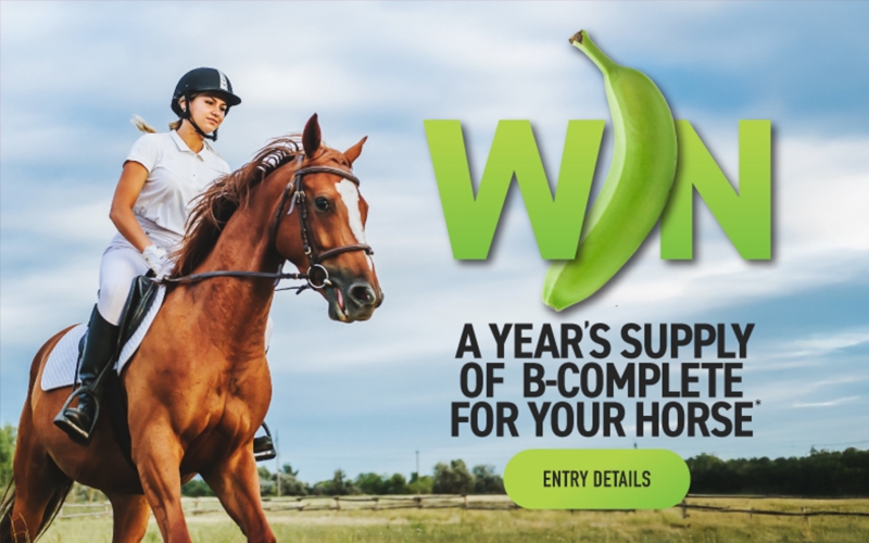 B-complete By Banana Feeds Australia Promotion: Win A Years Supply Of B-complete For Your Horse.